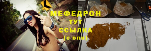 МДПВ Бородино