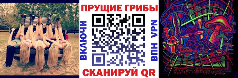 Псилоцибиновые грибы прущие грибы  Безенчук 
